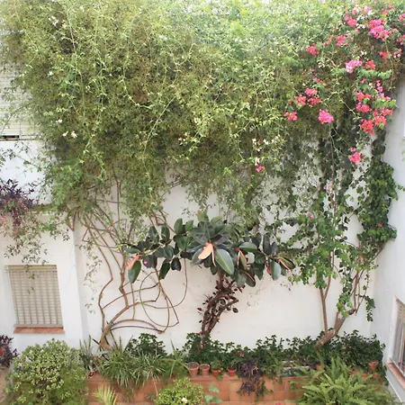El Coloso Jerez de la Frontera