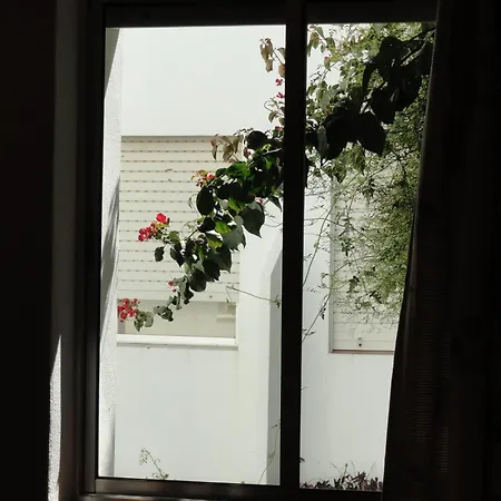 El Coloso Jerez de la Frontera