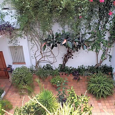 El Coloso 2*