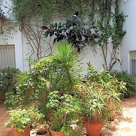 El Coloso Hotel