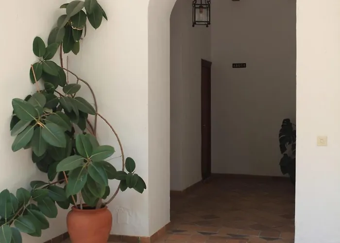 El Coloso Jerez de la Frontera