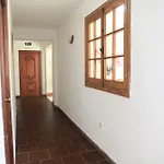 El Coloso