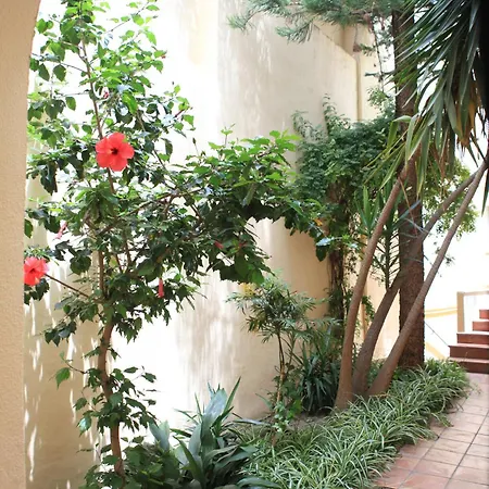 Ξενοδοχείο El Coloso