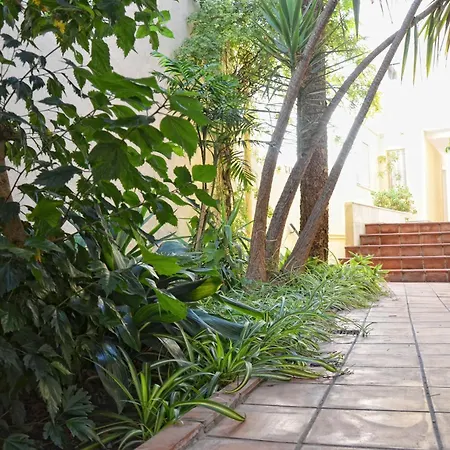 Ξενοδοχείο El Coloso 2*