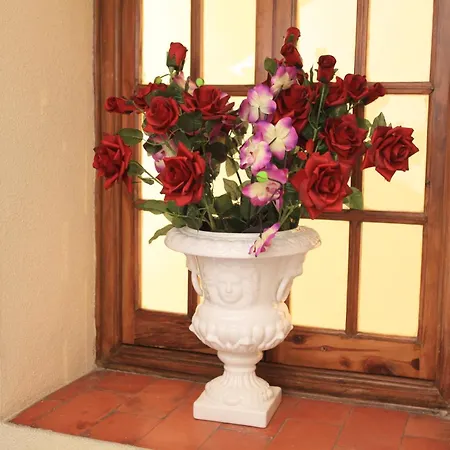 Hotel El Coloso