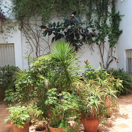 Отель El Coloso Херес-де-ла-Фронтера