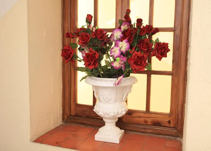 Отель El Coloso