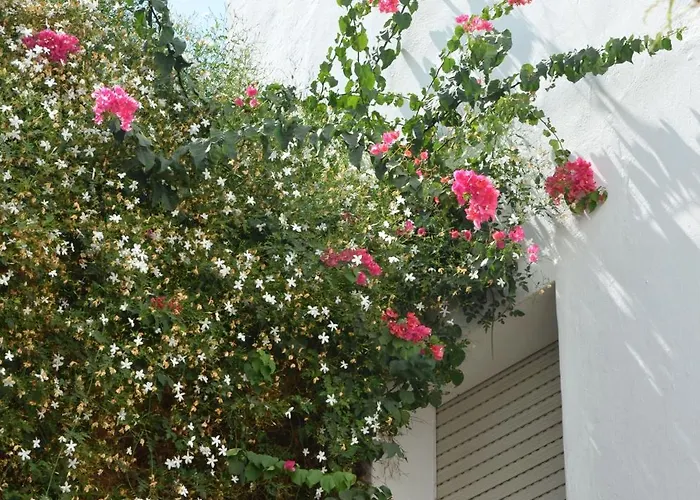 Отель El Coloso Херес-де-ла-Фронтера